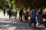 img0167.jpg