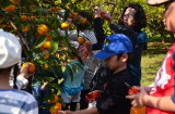 img0168.jpg