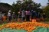 img0173.jpg