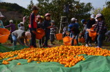 img0174.jpg