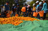 img0175.jpg