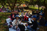 img0177.jpg