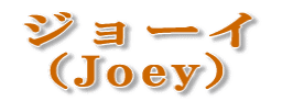 �W���[�C �iJoey�j